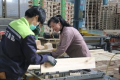 歐標(biāo)托盤(pán)廠家